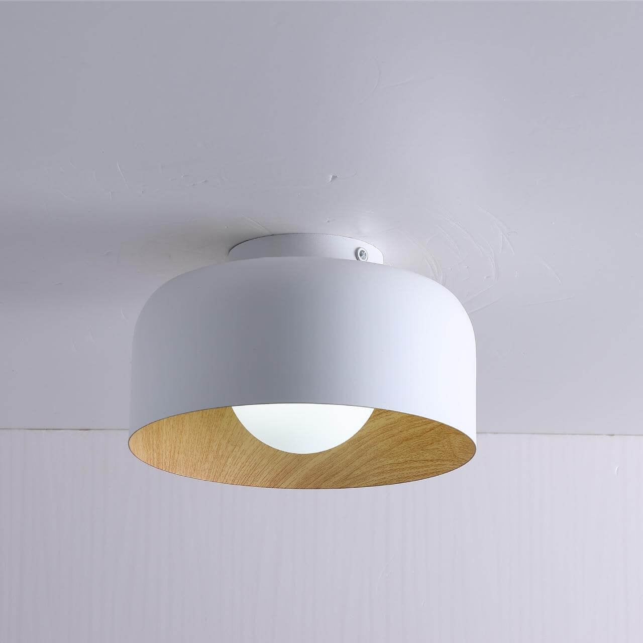 Minimalistische Koepelvormige Plafondlamp Met Houtnerf Van Ijzer, 1-Lichts Semi-Inbouw