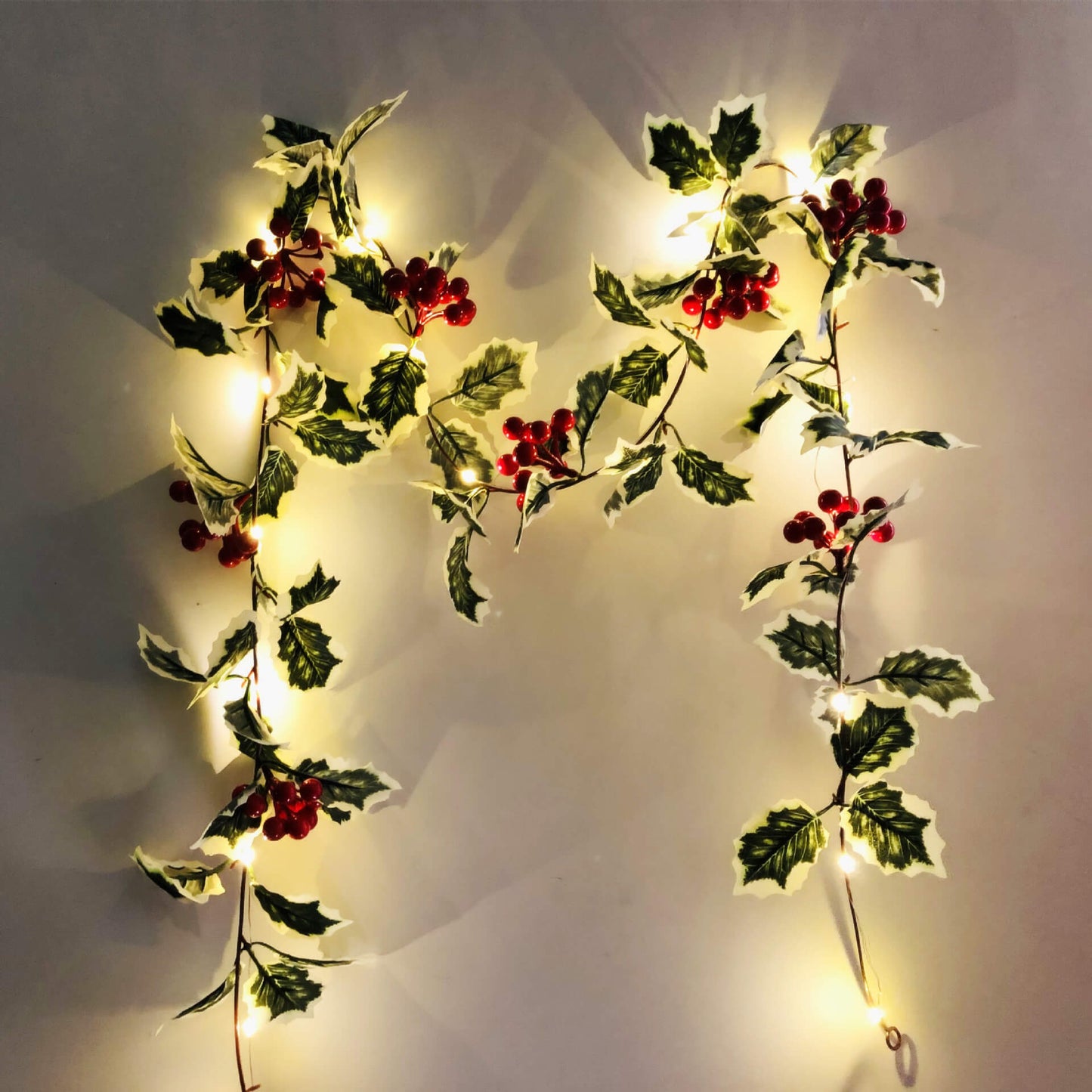 Kerst Rood Fruit Rotan Feest Raam Patio Feest Thanksgiving Decoratie Lichtsnoer