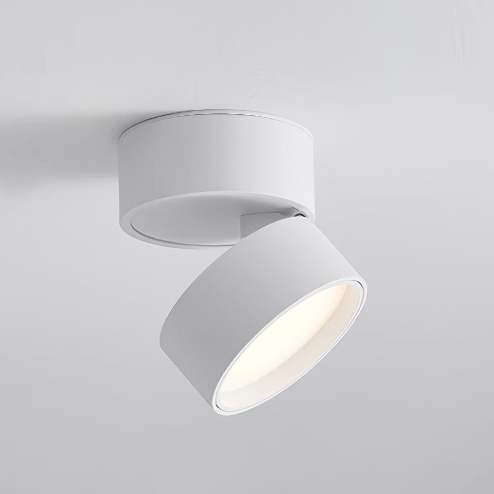 Opbouw Plafondlamp Savvina